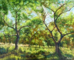 Zapomenutá zahrada  65x80